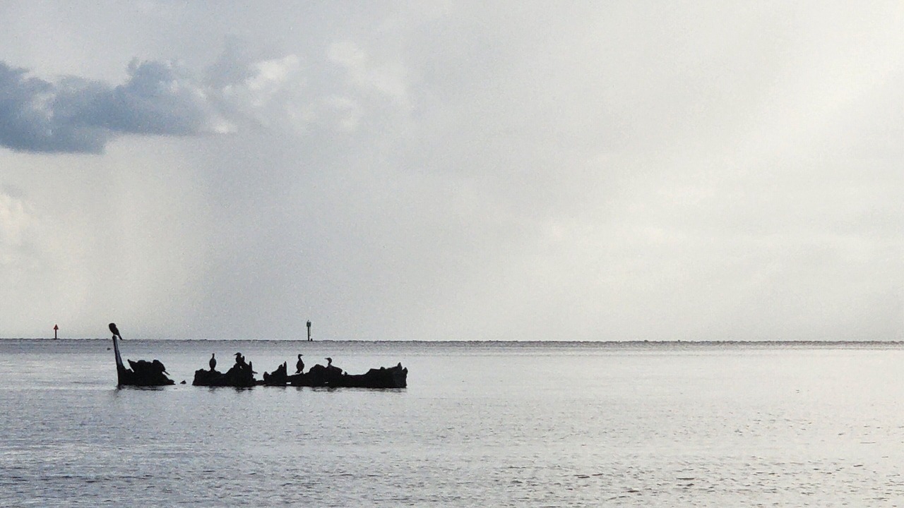 Photo of Others in Marathon