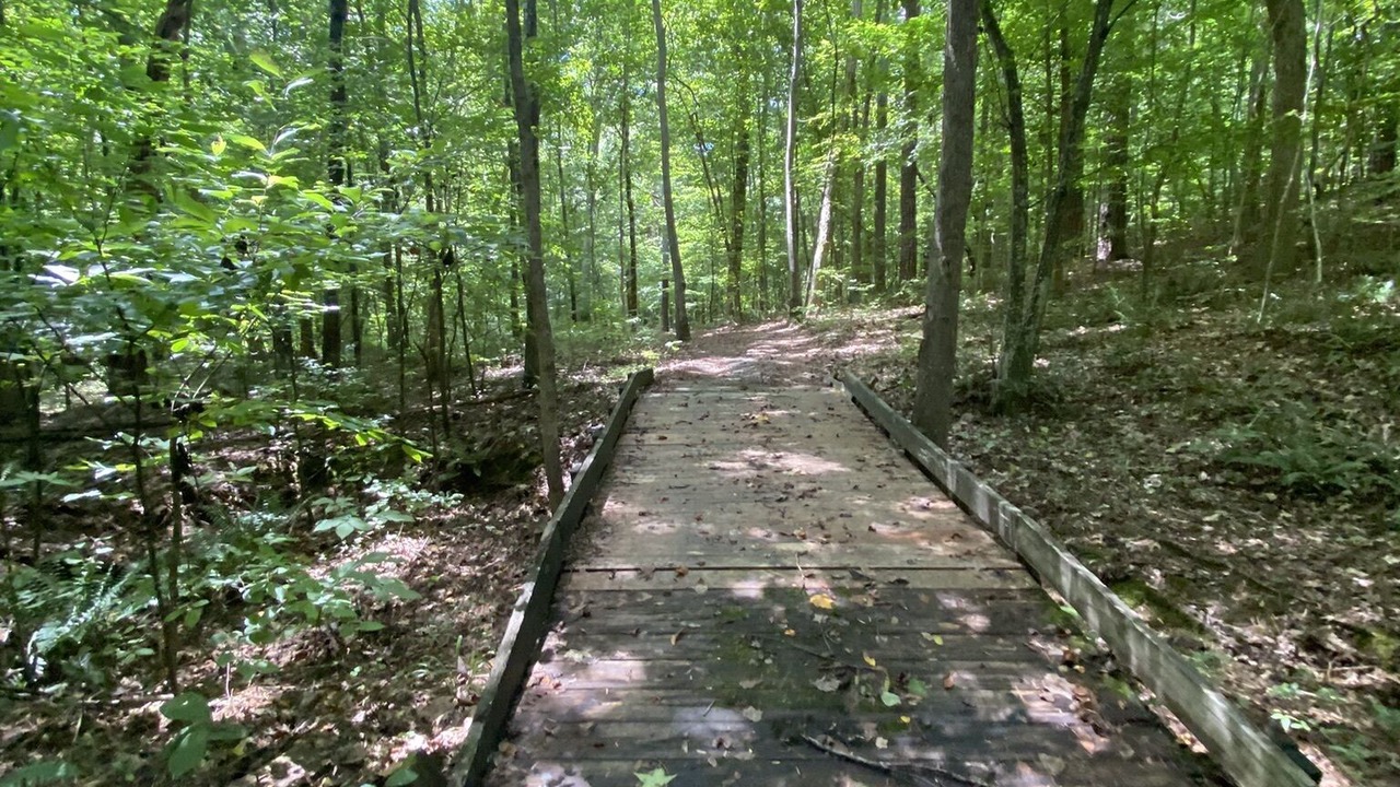Photo of Others in Oak Hill Park