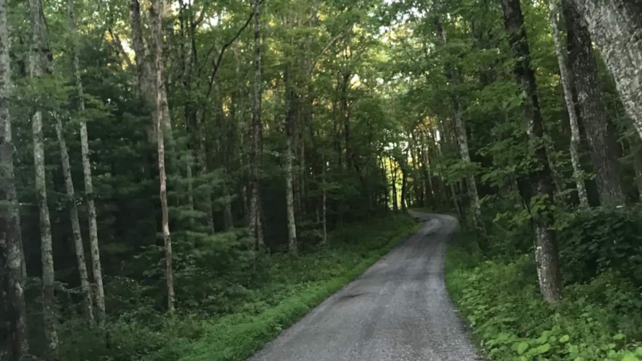 Photo of Outdoor in Cool Ridge