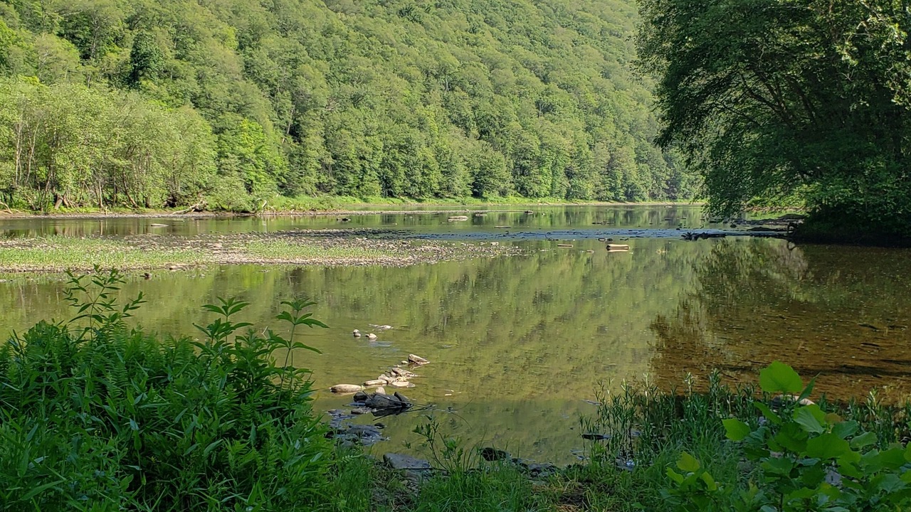 Photo of Others in Renovo