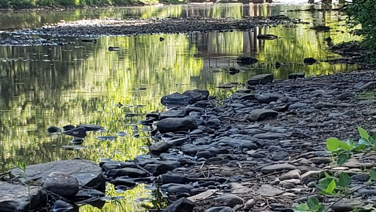 Photo of Others in Renovo
