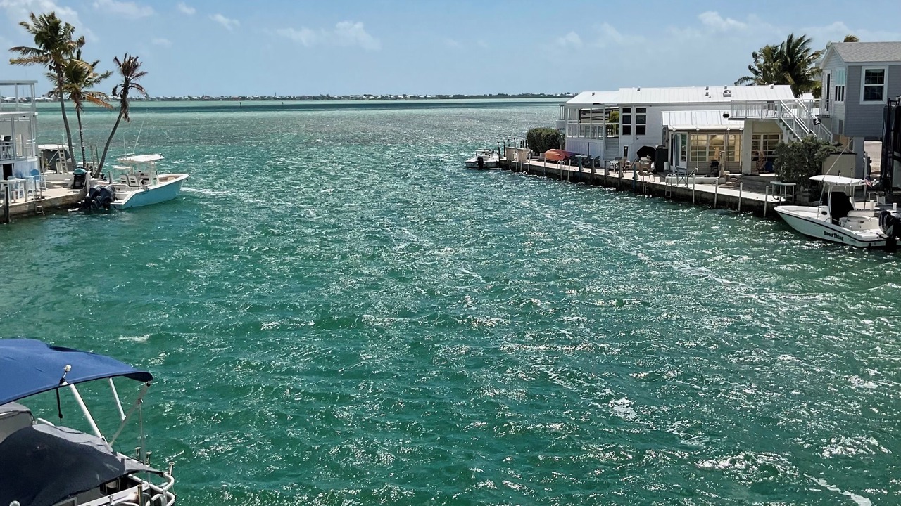 Photo of Others in Cudjoe Key