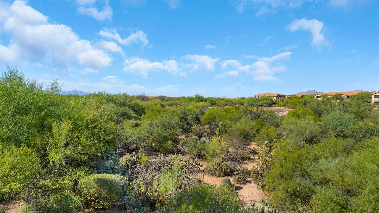 Photo of Outdoor in Rancho Vistoso