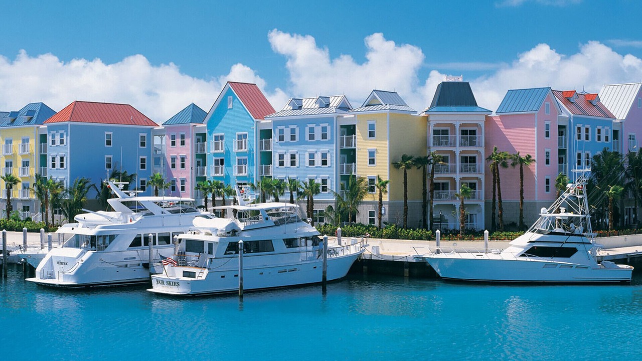 Photo of Others in Paradise Island