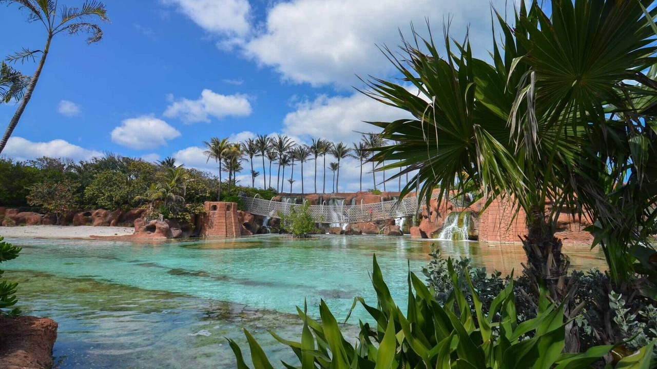 Photo of Outdoor in Paradise Island
