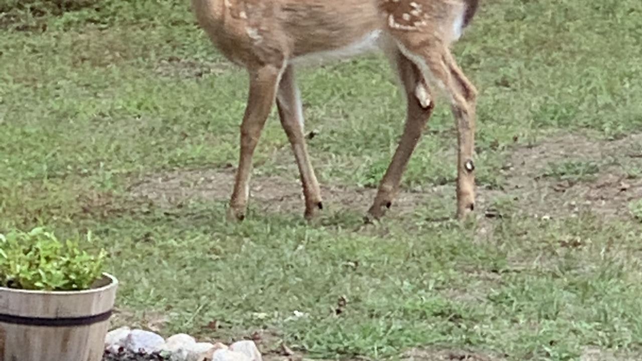 Photo of Outdoor in Wakefield-Peacedale
