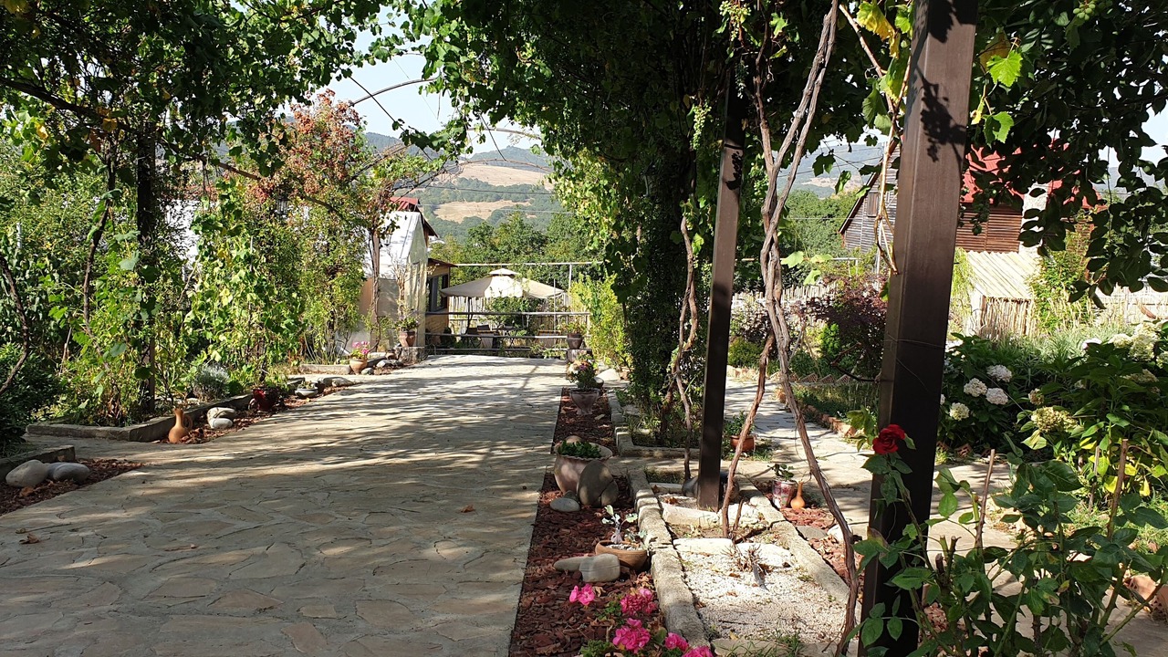 Photo of Outdoor in Tbilisi
