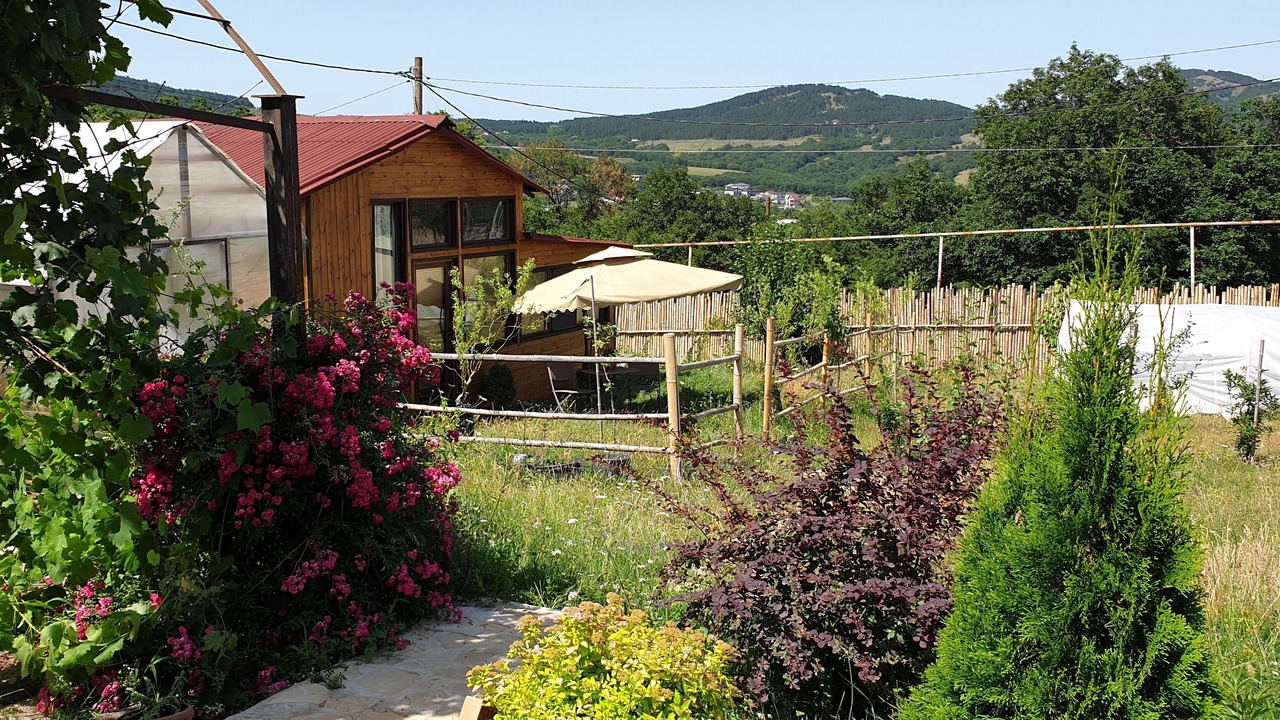 Photo of Outdoor in Tbilisi