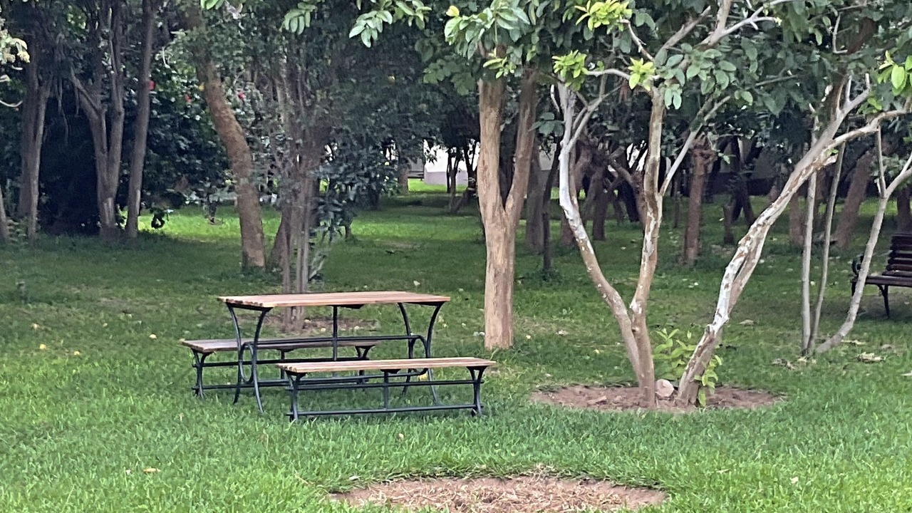 Photo of Outdoor in Lusaka