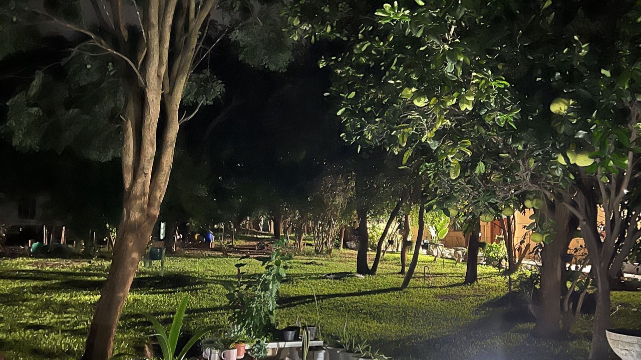 Photo of Outdoor in Lusaka