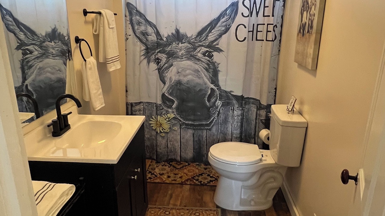 Photo of Bathroom in Gap Mills