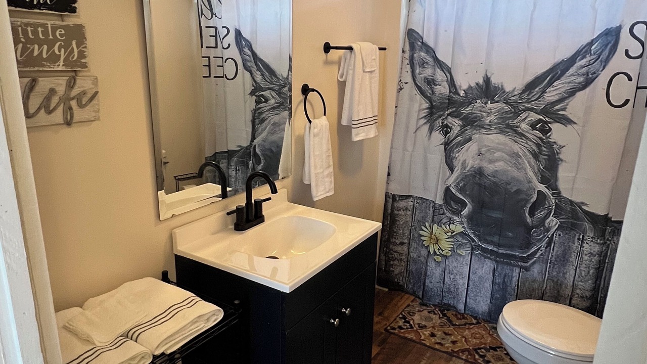 Photo of Bathroom in Gap Mills