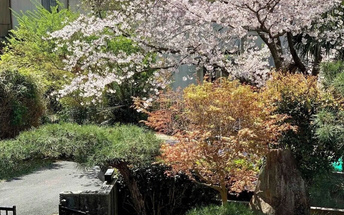 Photo of Outdoor in Tamano