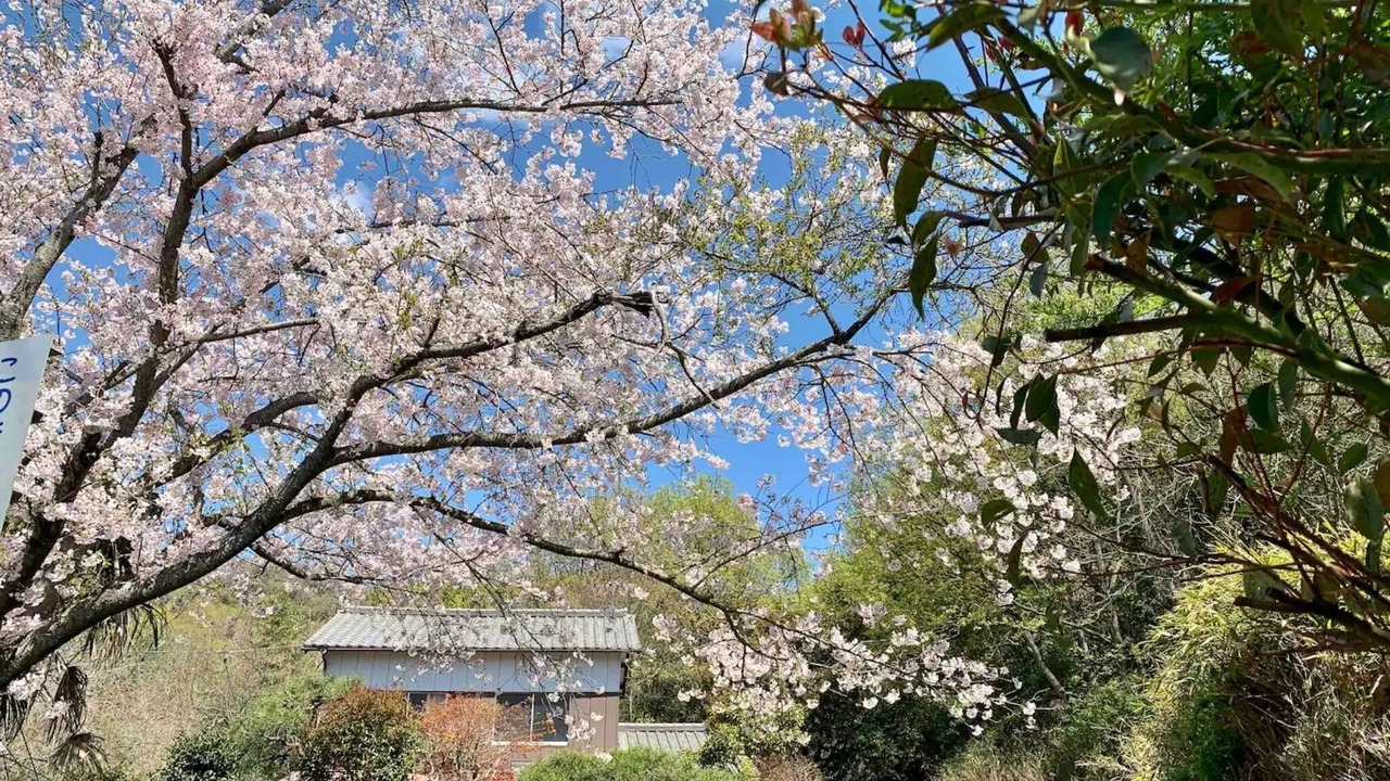 Photo of Outdoor in Tamano