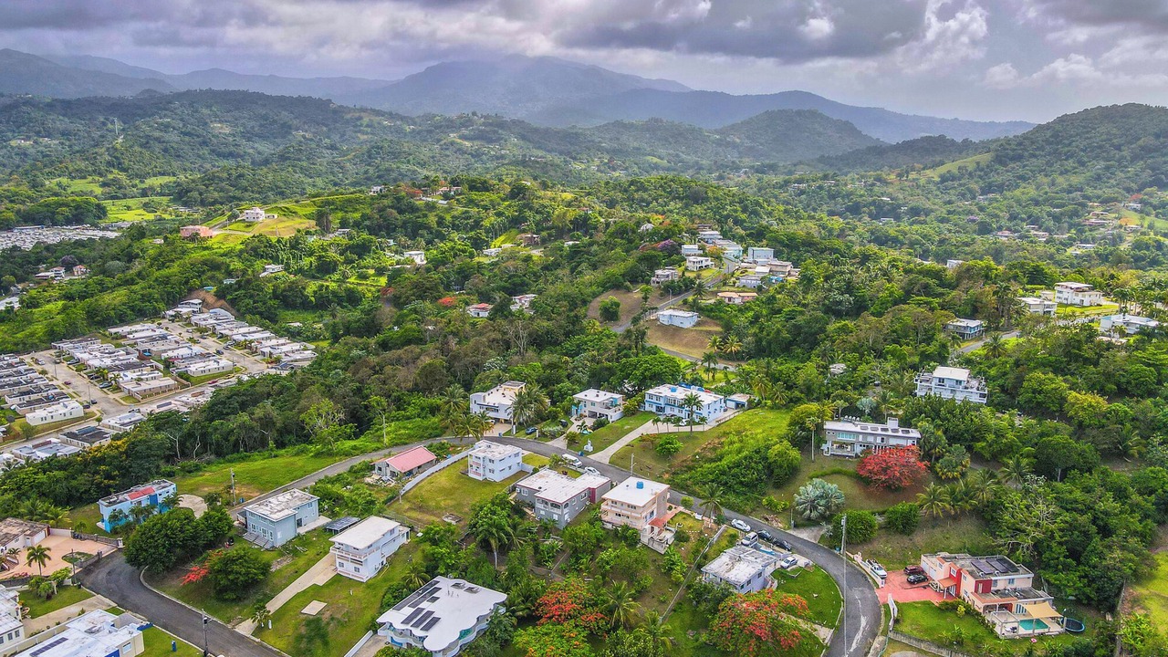 Photo of Others in Luquillo