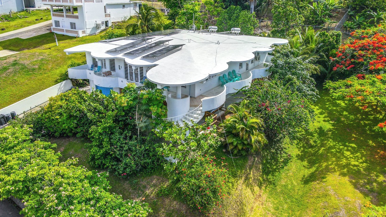 Photo of Outdoor in Luquillo