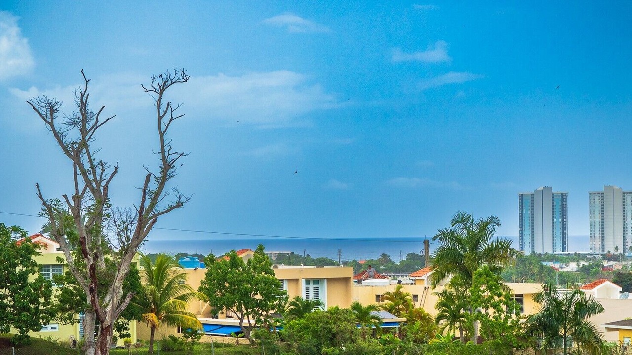 Photo of Others in Luquillo