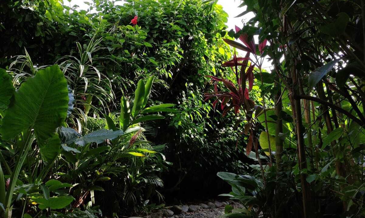 Photo of Outdoor in Bocas del Toro