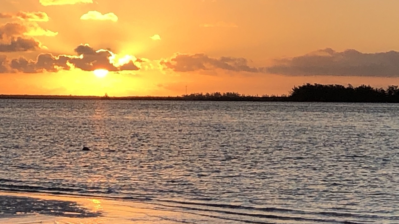 Photo of Others in Bahama Palm Shores