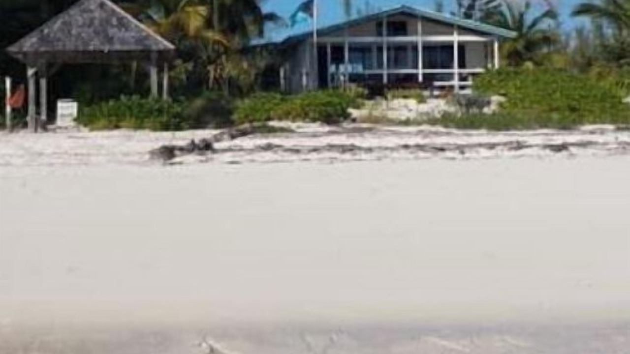 Photo of Others in Bahama Palm Shores