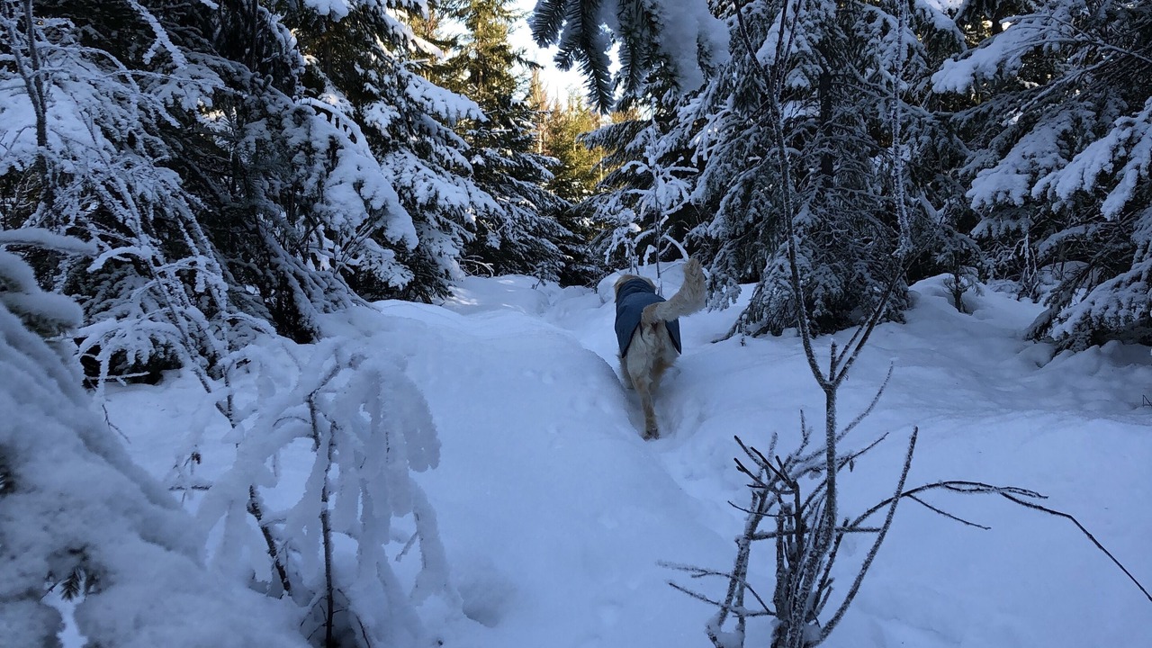 Photo of Outdoor in Gunnarskog