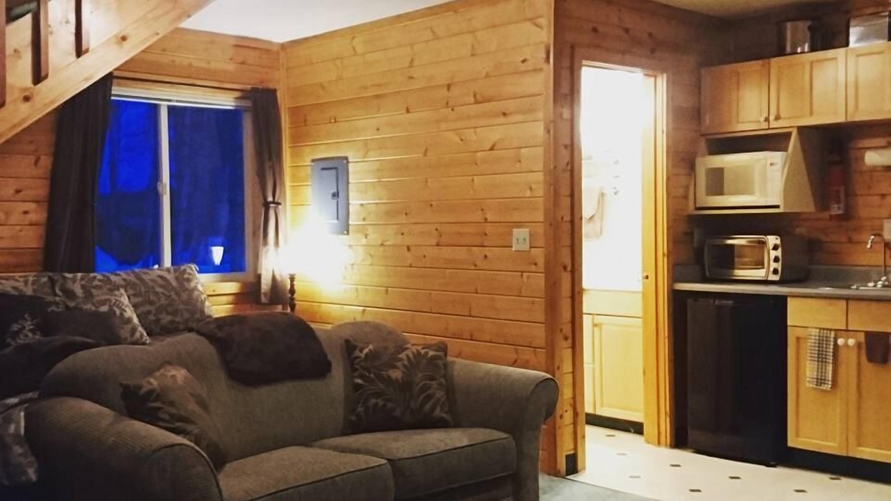 Photo of Livingroom in Talkeetna
