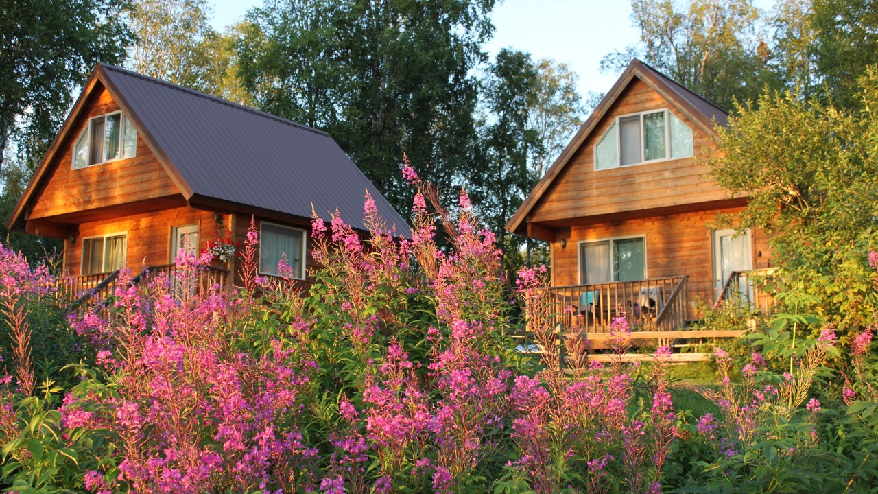 Photo of Outdoor in Talkeetna