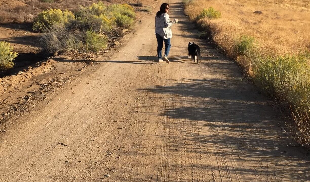 Photo of Outdoor in Tehachapi