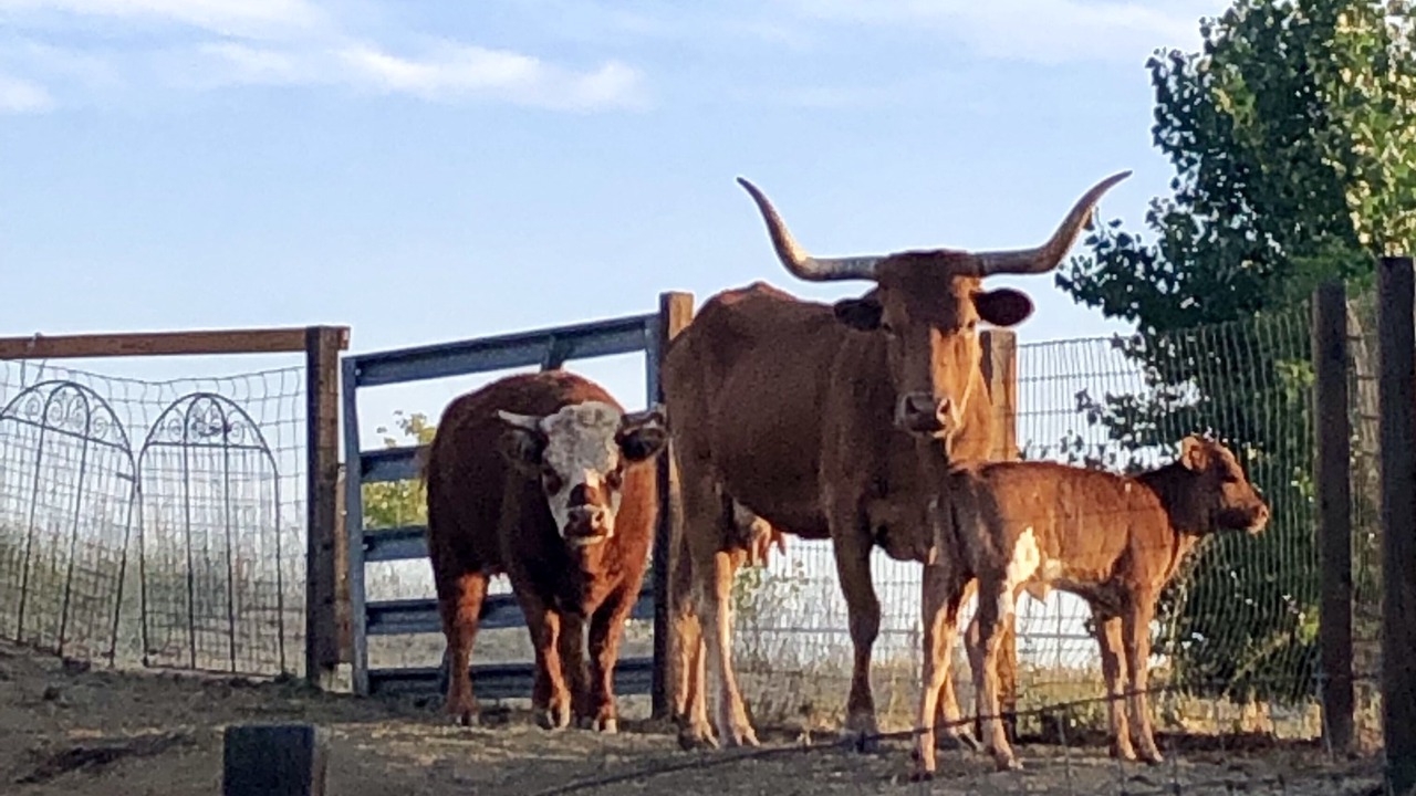 Photo of Others in Tehachapi
