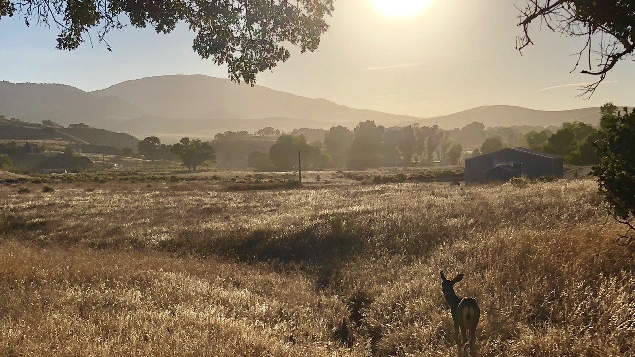 Photo of Others in Tehachapi