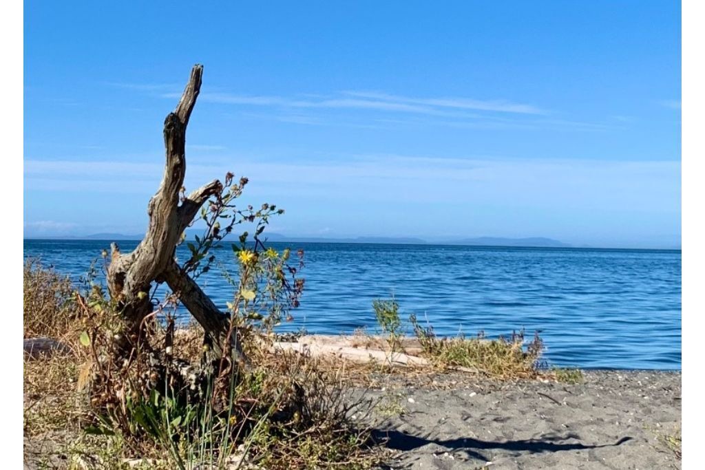 Photo of Others in Sequim