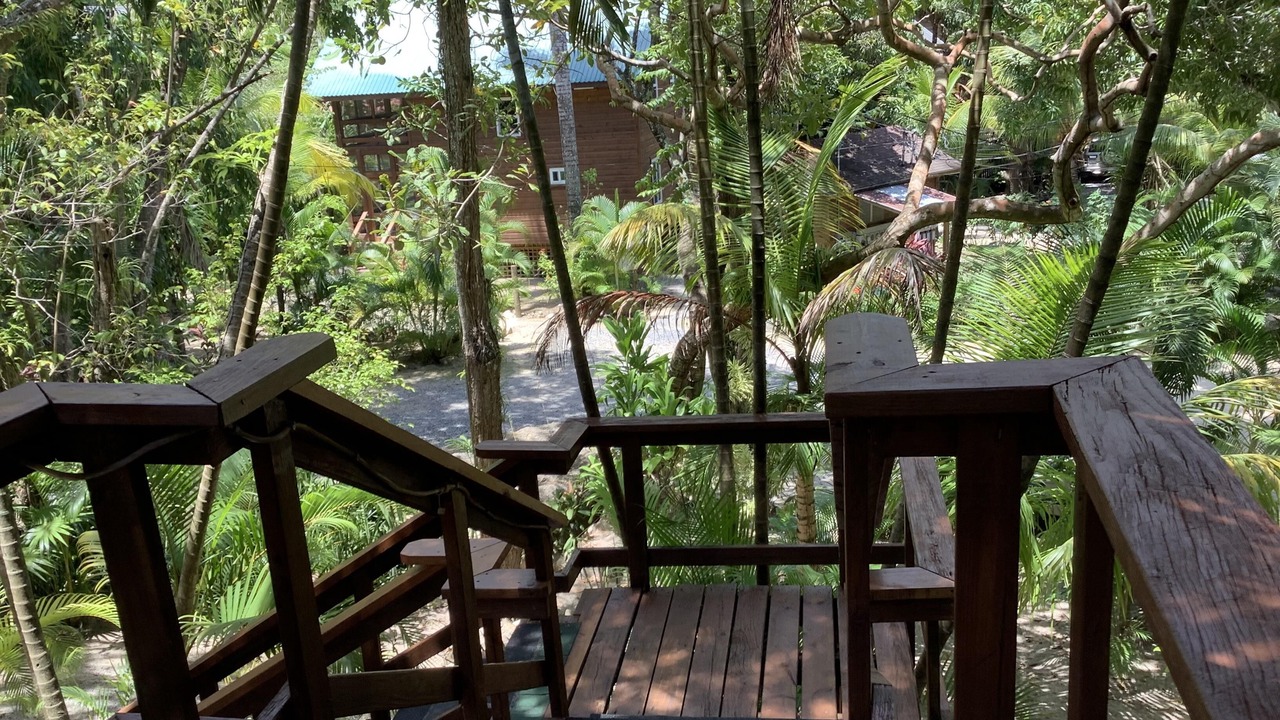 Photo of Outdoor in Antoneys Cay