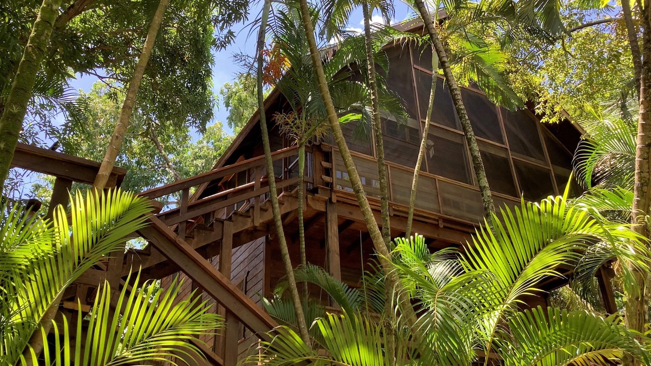 Photo of Outdoor in Antoneys Cay