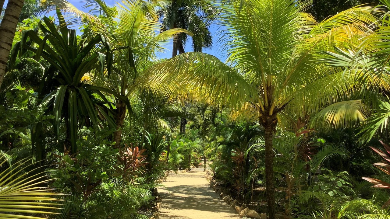 Photo of Outdoor in Antoneys Cay