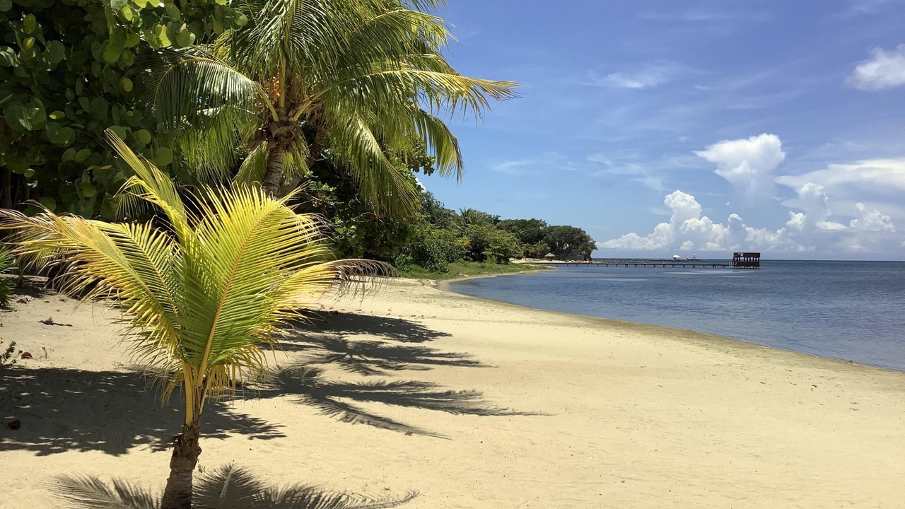 Photo of Others in Antoneys Cay