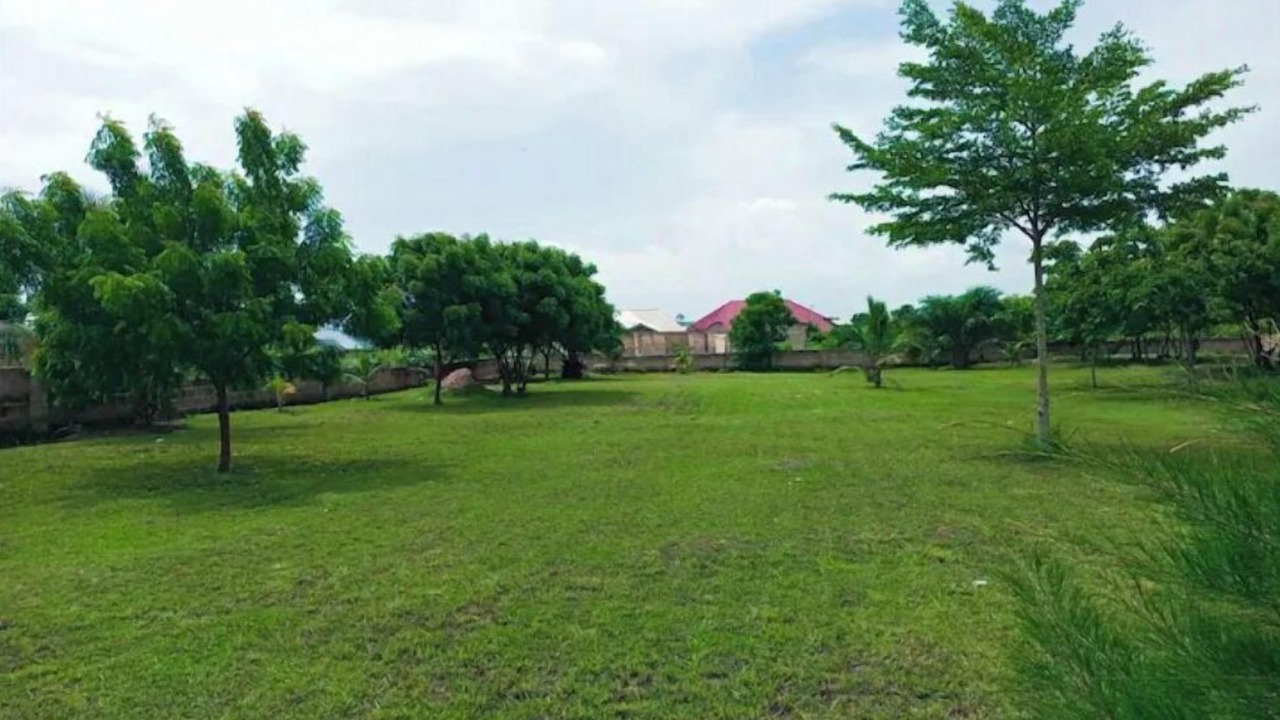 Photo of Outdoor in Winneba
