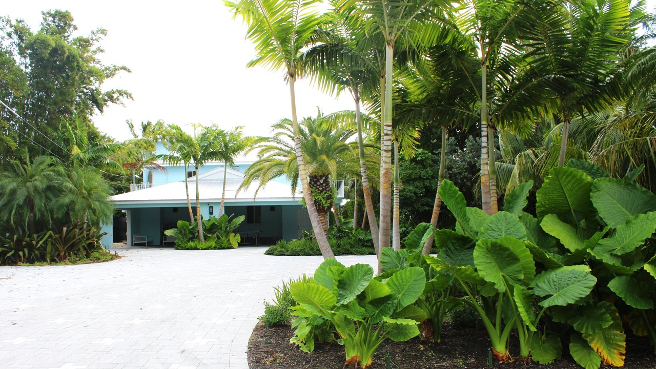 Photo of Others in Tavernier