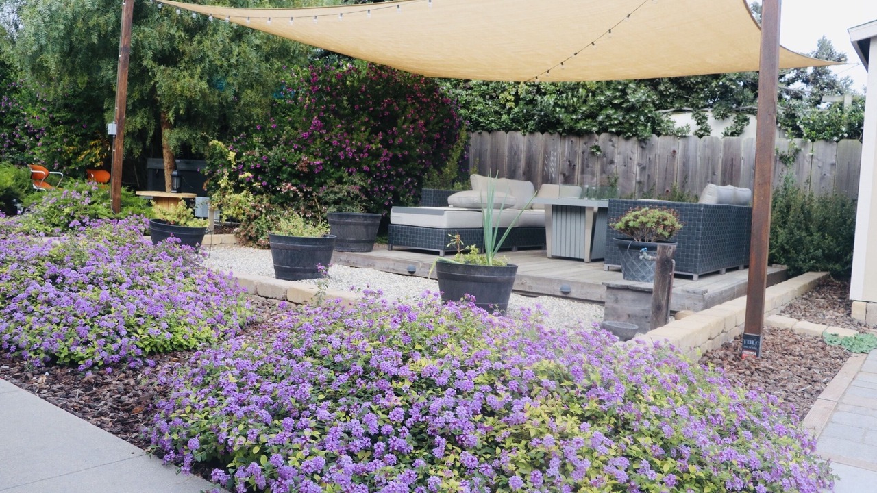 Photo of Outdoor in Salinas