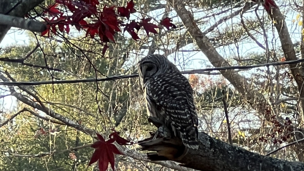 Photo of Outdoor in Charlestown