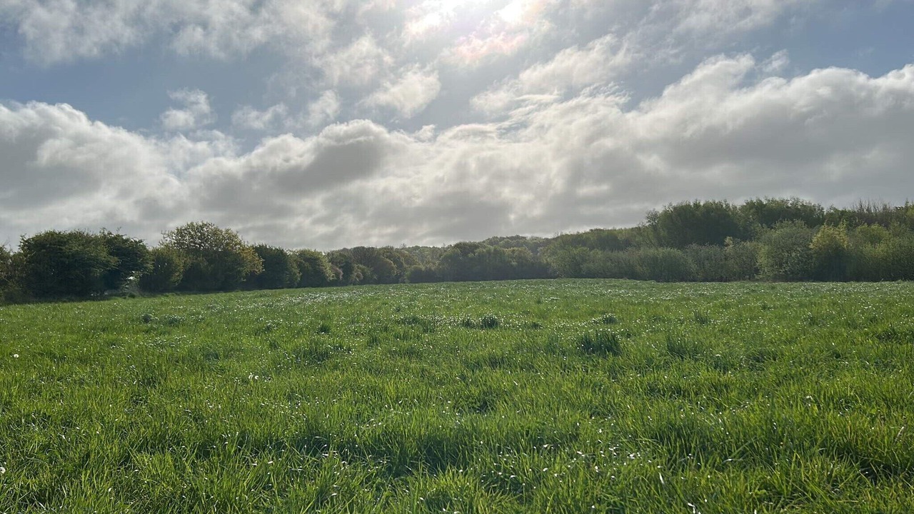 Photo of Others in Næs