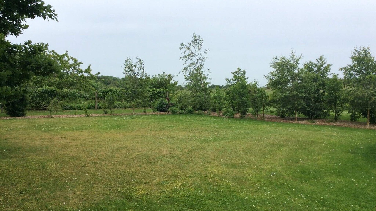 Photo of Outdoor in Næs