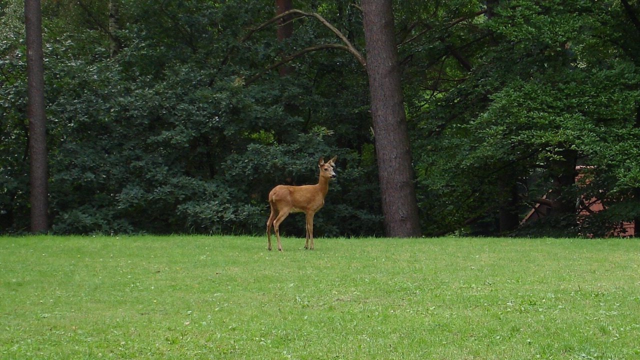 Photo of Others in Ehestorf