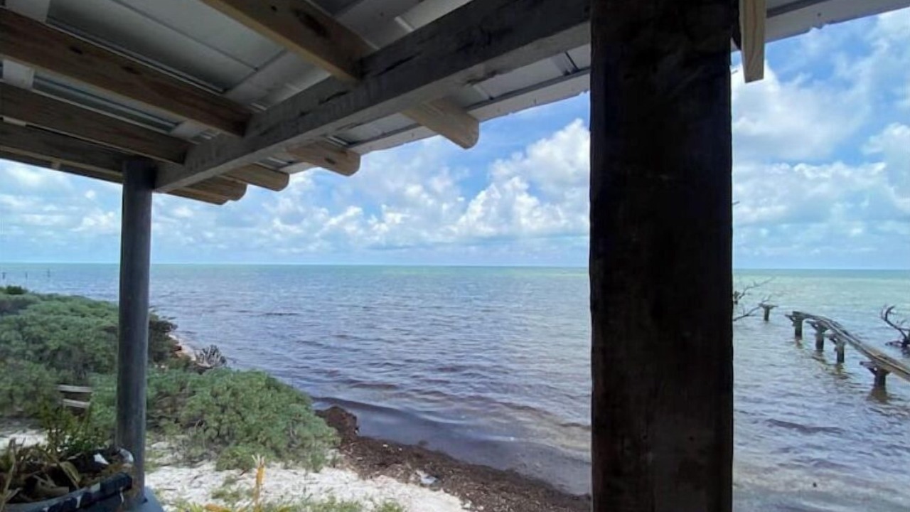 Photo of Others in Coupon Bight Aquatic Preserve