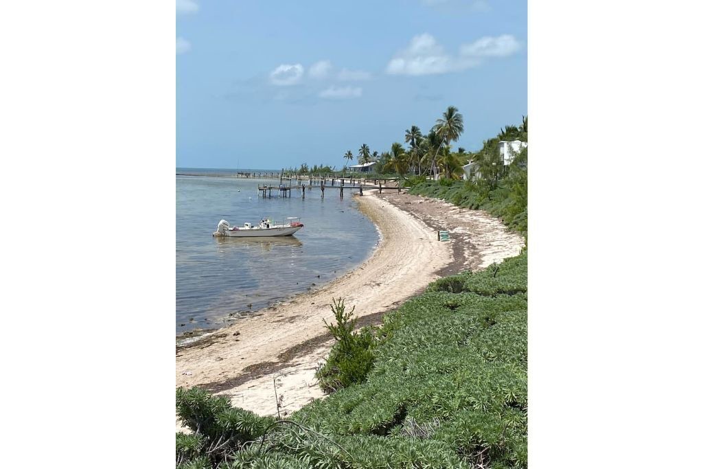 Photo of Others in Coupon Bight Aquatic Preserve