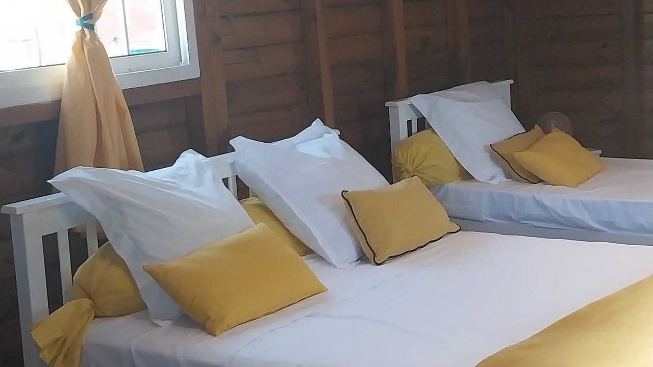 Photo of Bedroom in Les Abymes