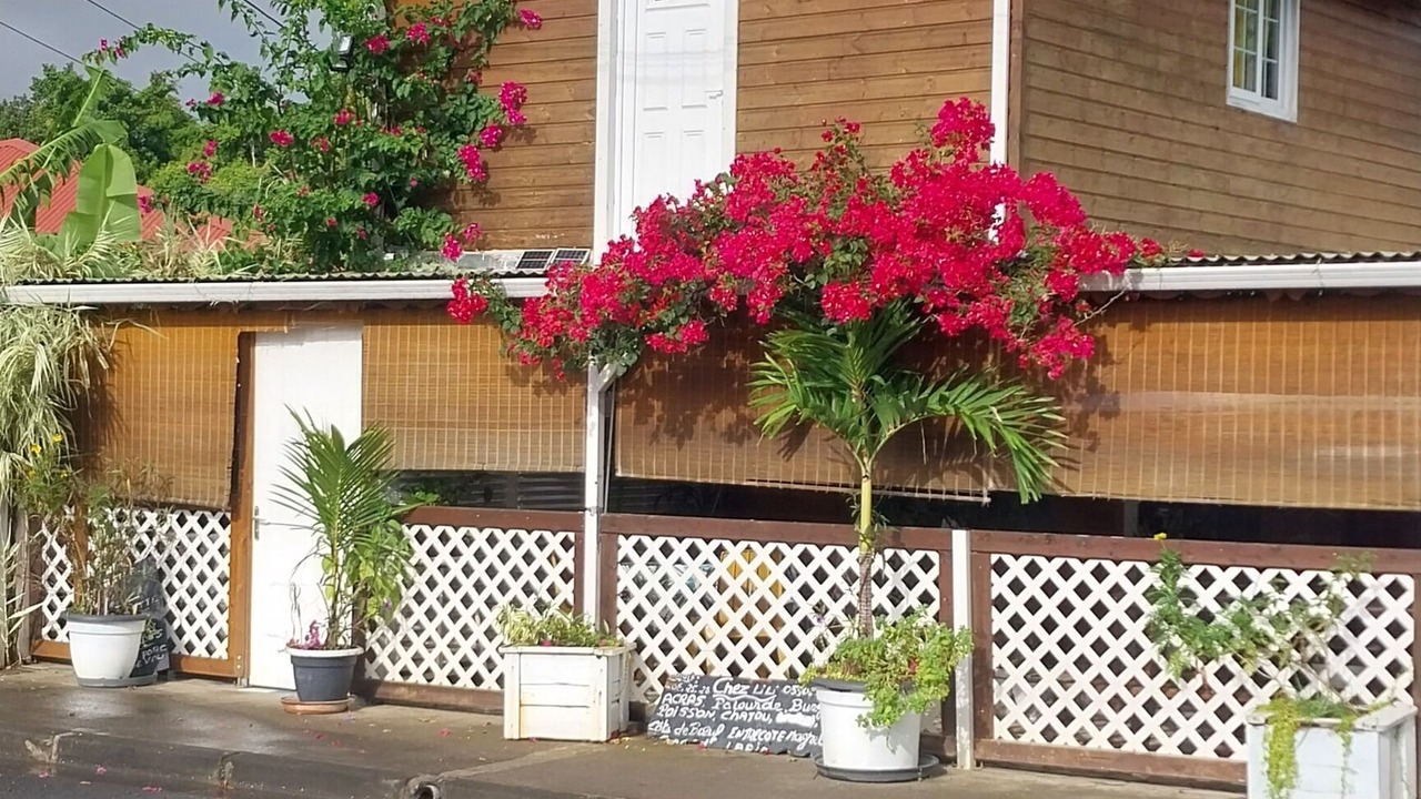 Photo of Outdoor in Les Abymes
