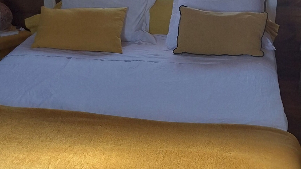Photo of Bedroom in Les Abymes