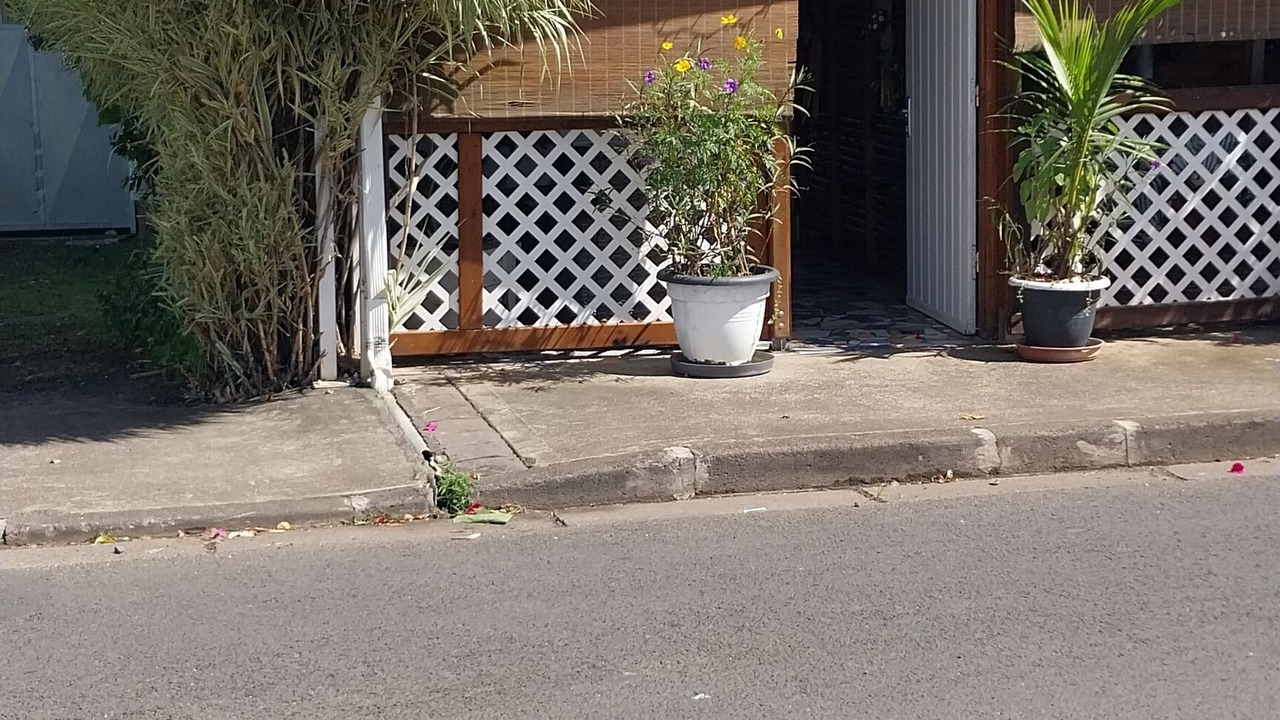 Photo of Outdoor in Les Abymes