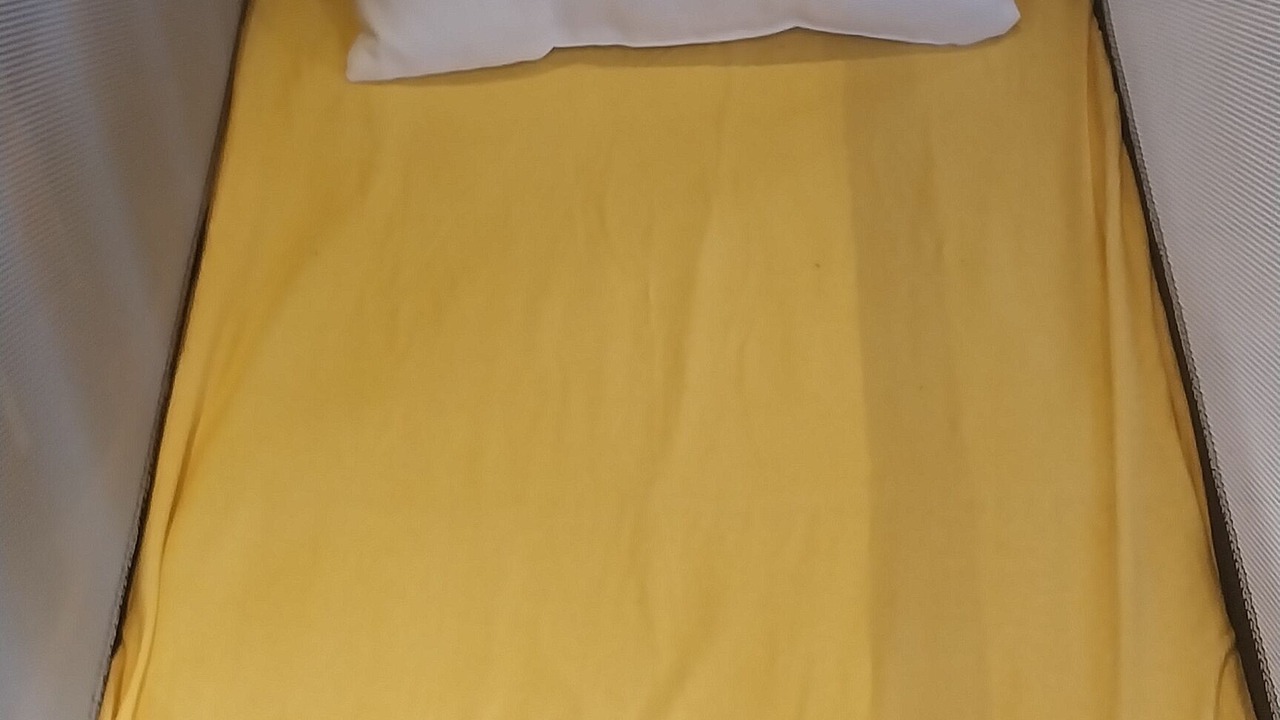 Photo of Bedroom in Les Abymes