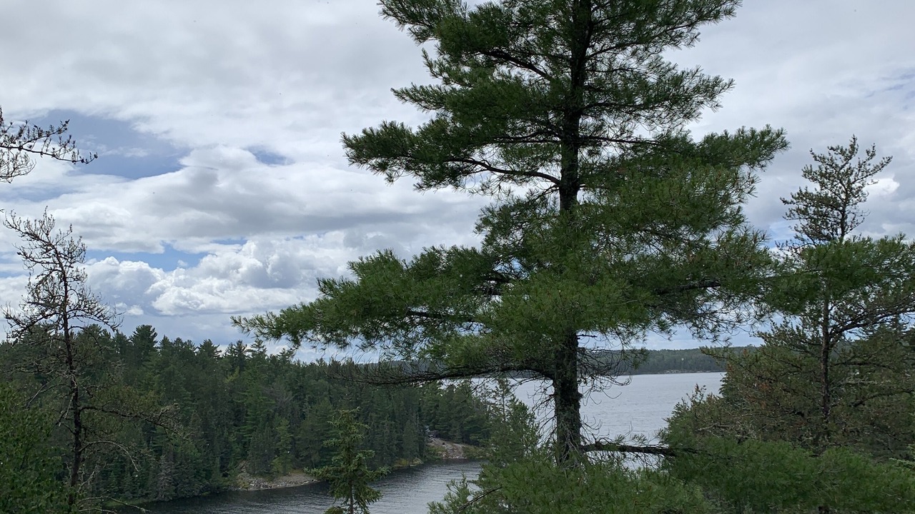 Photo of Others in Northern Ontario
